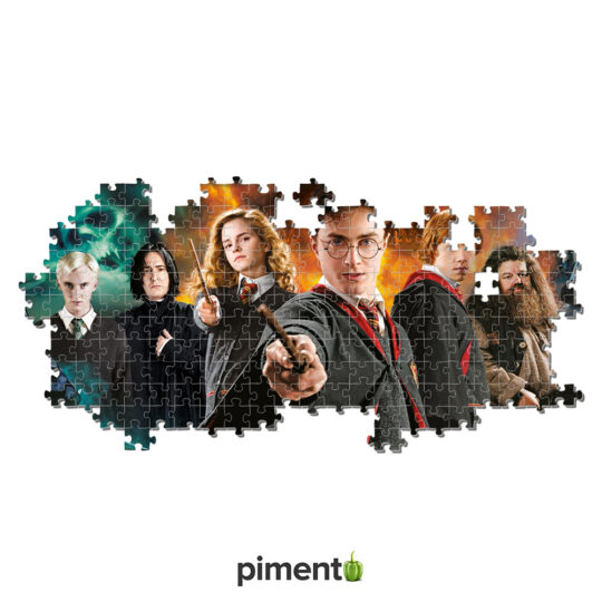 Puzzle 1000 peças Harry Potter - Panorama