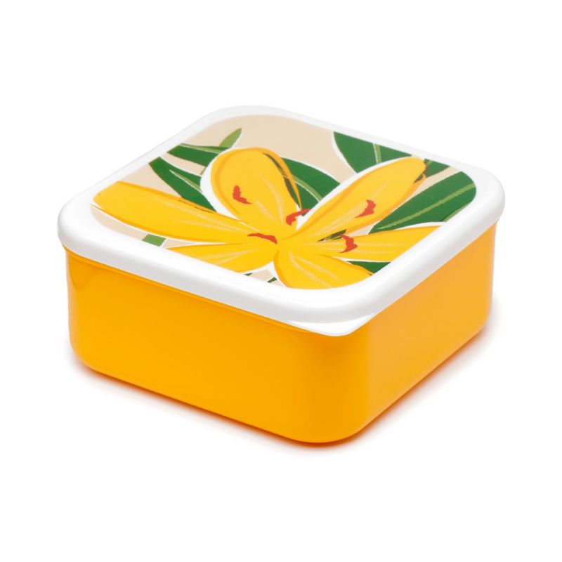 Conjunto de 3 Marmitas Florens Hesperantha  Caixas de Almoço M/L/XL – Recipientes de Lanche com Múltiplos Compartimentos – Almoço para Adultos e Crianças – Recipientes de Alimentos Pequenos, Sem BPA